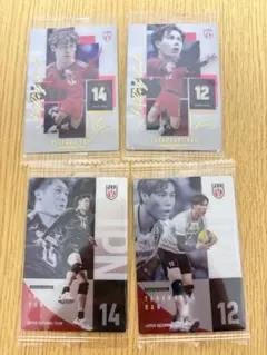 バレーボール　男子日本代表　ツインウエハース　石川祐希　高橋藍