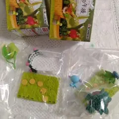 ポケモンガーデン　木漏れ日の午後　リーメント　2種
