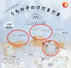 うちの子のけだまだま