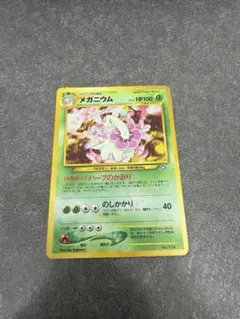 メガニウム_プレミアムファイル PROMO 第1世代 1996~1999