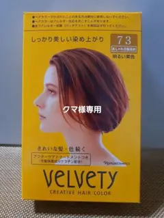 ナリス　ベルベッティ　クリエイティブ　ヘアカラー　73　明るい栗色のサムネイル