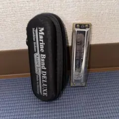 Item thumbnail for item 14dc426f-9819-4bdd-bb8a-201bca8faf96