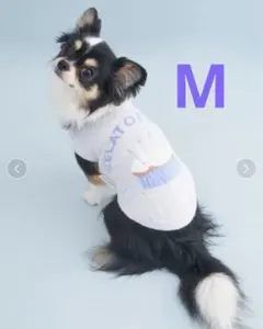 ジェラピケ 【CAT&DOG】【Birthday】カップケーキプルオーバーM