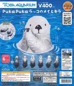 鳥羽水族館　ぽちゃまるラッコ　キラメイ 鳥羽水族館 ラッコ ぽちゃまるラッコオリジナル キラ メイ 鳥羽