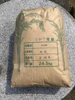 令和8年 新潟産 ゆきの精 玄米20kg - メルカリ