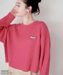 【新品/PEANUTS】スヌーピービック刺繍ニットプルオーバー