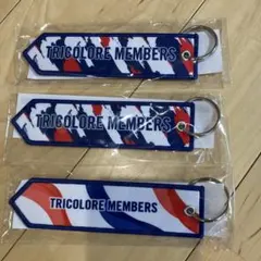 横浜F・マリノス TRICOLORE MEMBERS キーホルダー 3個セット