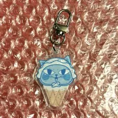 2PM THE RETURN MD アクリルキーリング テギョン オクキャット