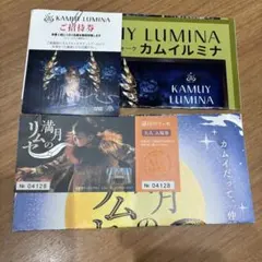 北海道阿寒湖アイヌコタン　カムイルミナ&満月のリムセ招待券 チケットのサムネイル