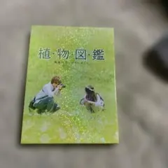 植物図鑑 運命の恋,ひろいました 豪華版('16松竹/ホリプロ/LDH/幻冬舎