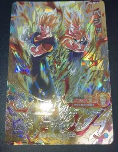 MM4-SEC5 ベジット