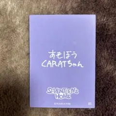 HOME トレカ SEVENTEEN セブチ ディノ 91 メッセージ