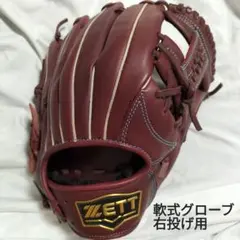 2025年最新】硬式グローブ 内野 ゼットの人気アイテム - メルカリ