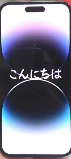 2025.2購入 Apple iPhone 14 Pro Max 128GB 黒