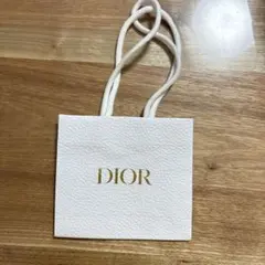 Dior ショップ袋 小型