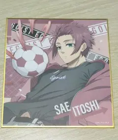 糸師冴 トレーディングミニ色紙