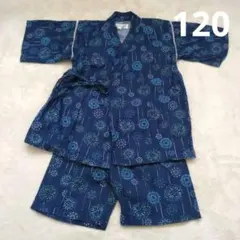 くわっさんずべべ 甚平 男の子 ネイビー 120cm