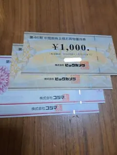 ビックカメラ 株主優待券 4000円分のサムネイル