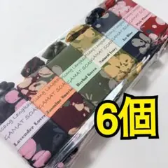 なまこ石鹸　マレーシア産　6個セット　パッケージ入り　お土産　プレゼントにも