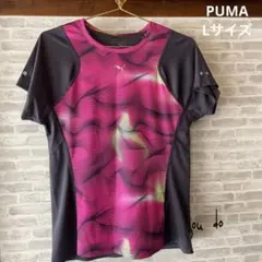 PUMA プーマ　Tシャツ　Lサイズ　ドライセル　レディース