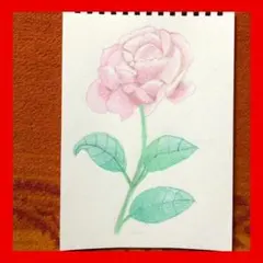 今年８８歳になるおばあちゃんの鉛筆画【バラ⑤】イラスト 絵画 色鉛筆画