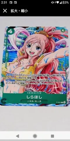 2026年最新】しらほし P-091の人気アイテム - メルカリ