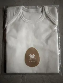 Item thumbnail for item 0e118fdc-27a1-4677-b9f3-9f7870687f19