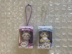 ちいかわ　チョコボックス　モモンガ　あのこ
