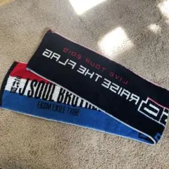 3代目ライブツアータオル RAISE THE FLAG