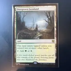 Item thumbnail for item 7a49dd78-2529-4c97-8a5f-2f70049966b9