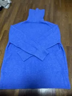 紫のハイネックニット（長袖）