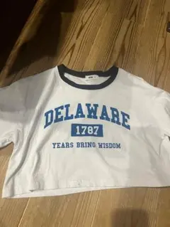 WEGO DELAWARE ロゴTシャツ 半袖 カットソー