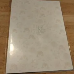 King＆Prince 2019 パンフレット