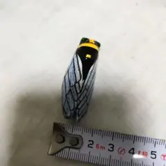 Item thumbnail for item 4749233c-8599-4a6f-a189-0ad4cf5821fe