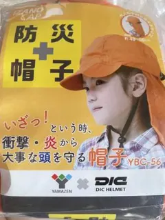 Item thumbnail for item da4fc945-b866-48b6-a7bb-1d3eaa9227a5