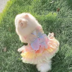 Item thumbnail for item 52fcdbc4-0d95-4308-8cc1-790280cd8aa2