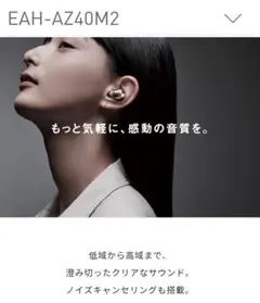 Technics ワイヤレスイヤホン ケースと本体左耳〈L〉のみ - メルカリ