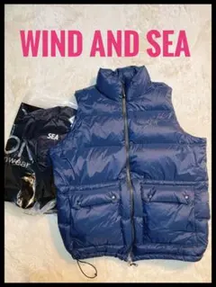 taion ダウンベスト