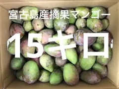 2026年最新】摘果マンゴーの人気アイテム - メルカリ