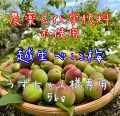 NAGOMIの梅『うずちゃん様専用5kg』越生べに梅のサムネイル