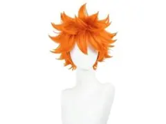 ハイキュー 日向翔陽 ウィッグ コスプレ用