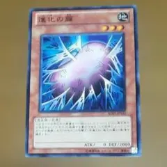2026年最新】遊戯王 進化の繭の人気アイテム - メルカリ