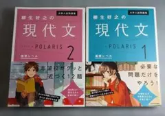 柳生好之 現代文Polaris2冊セット