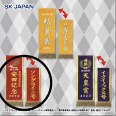 サラブレッドコレクション　優勝レイバスタオル3 安田記念2023年