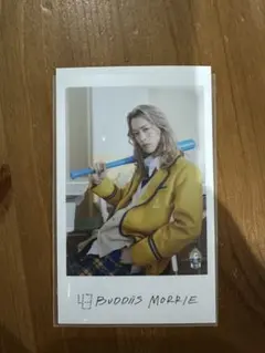 BUDDiS MORRIE ミニフォト