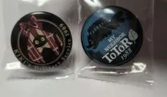 ジブリがいっぱい　缶バッジ　コレクション　缶バッチ　魔女の宅急便　トトロ