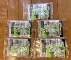 ポケモンフレンダ ジガルデ　5個セット　★新品未使用　未開封★