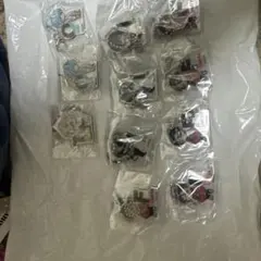 カリスマ　アクリルキーホルダー 10個セット