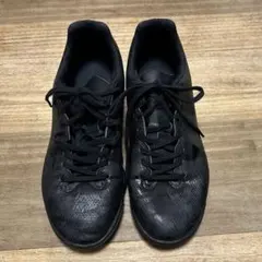 ミズノ　MONARCIDA Neo モナルシーダネオ　24.5