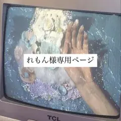 れもん様専用ページ